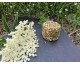  Crottin frais roulé aux herbes "PRIMEUR"